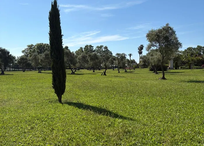 La Des Pins Apartment *